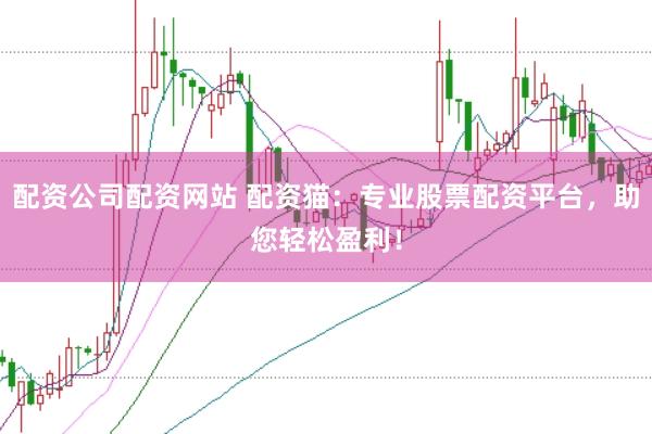 配资公司配资网站 配资猫：专业股票配资平台，助您轻松盈利！