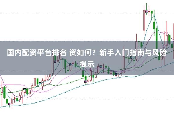国内配资平台排名 资如何？新手入门指南与风险提示