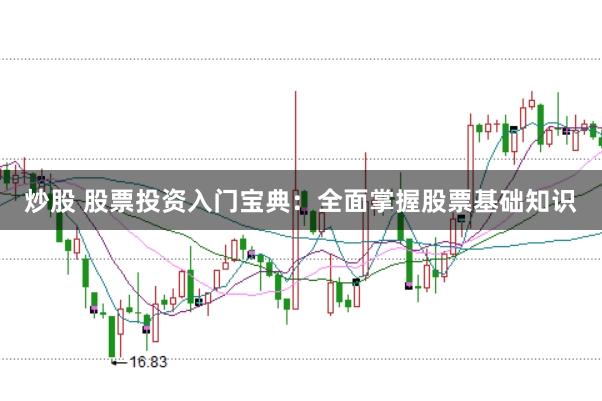 炒股 股票投资入门宝典：全面掌握股票基础知识