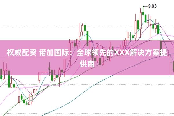 权威配资 诺加国际：全球领先的XXX解决方案提供商