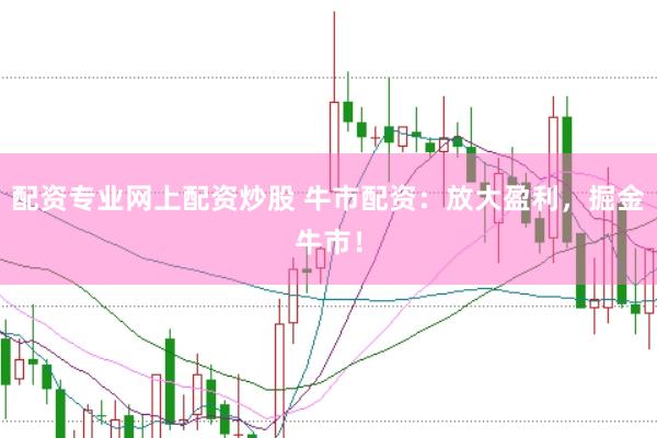 配资专业网上配资炒股 牛市配资：放大盈利，掘金牛市！
