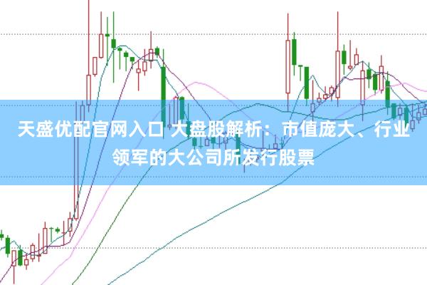 天盛优配官网入口 大盘股解析：市值庞大、行业领军的大公司所发行股票