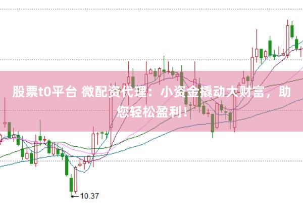股票t0平台 微配资代理：小资金撬动大财富，助您轻松盈利！