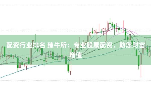 配资行业排名 臻牛所：专业股票配资，助您财富增值