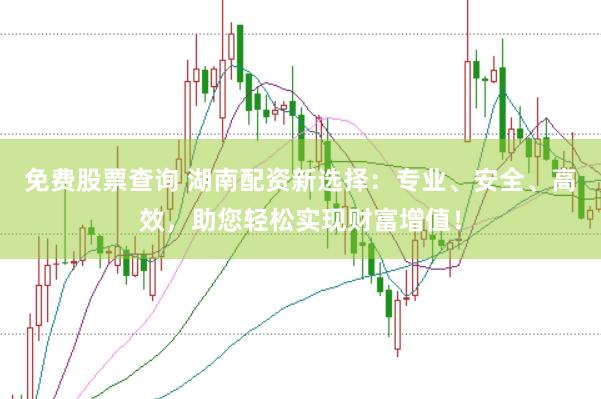 免费股票查询 湖南配资新选择：专业、安全、高效，助您轻松实现财富增值！