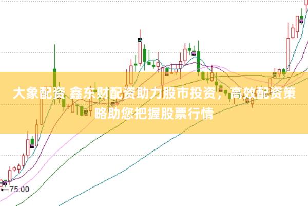 大象配资 鑫东财配资助力股市投资，高效配资策略助您把握股票行情