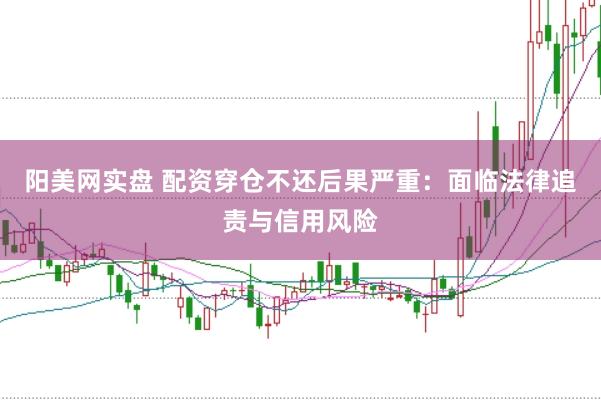 阳美网实盘 配资穿仓不还后果严重：面临法律追责与信用风险