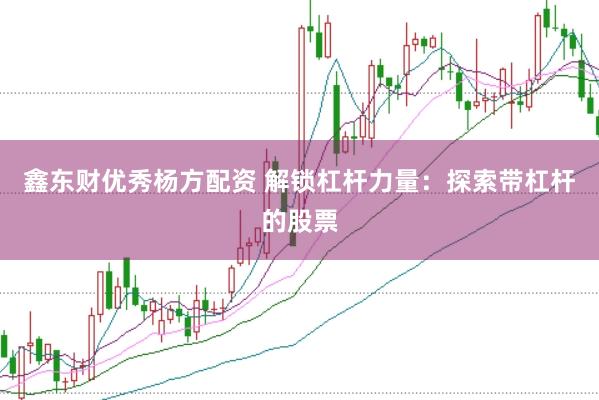 鑫东财优秀杨方配资 解锁杠杆力量:探索带杠杆的股票