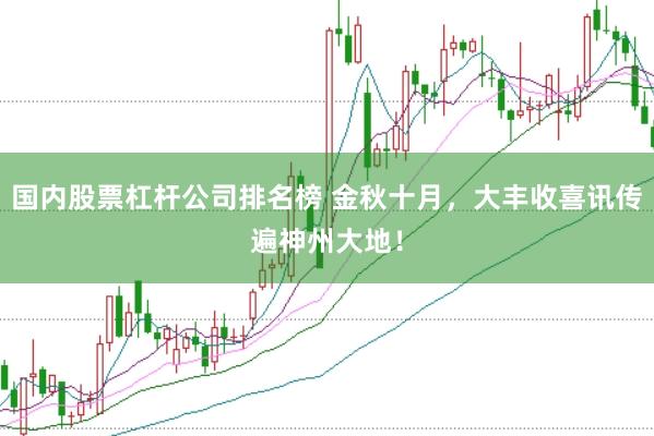 国内股票杠杆公司排名榜 金秋十月,大丰收喜讯传遍神州大地!