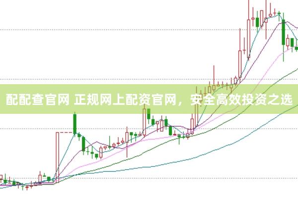 配配查官网 正规网上配资官网，安全高效投资之选