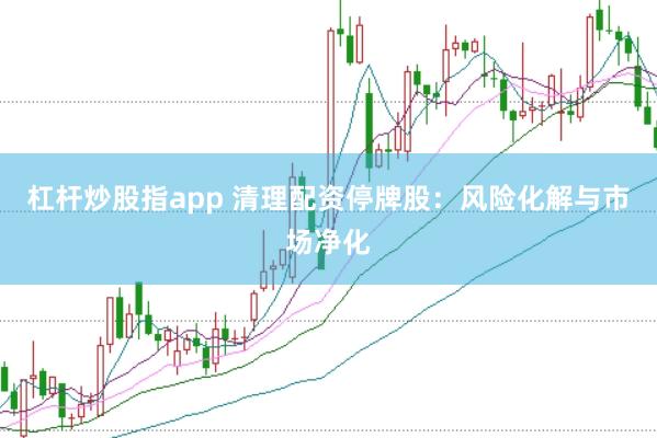 杠杆炒股指app 清理配资停牌股:风险化解与市场净化