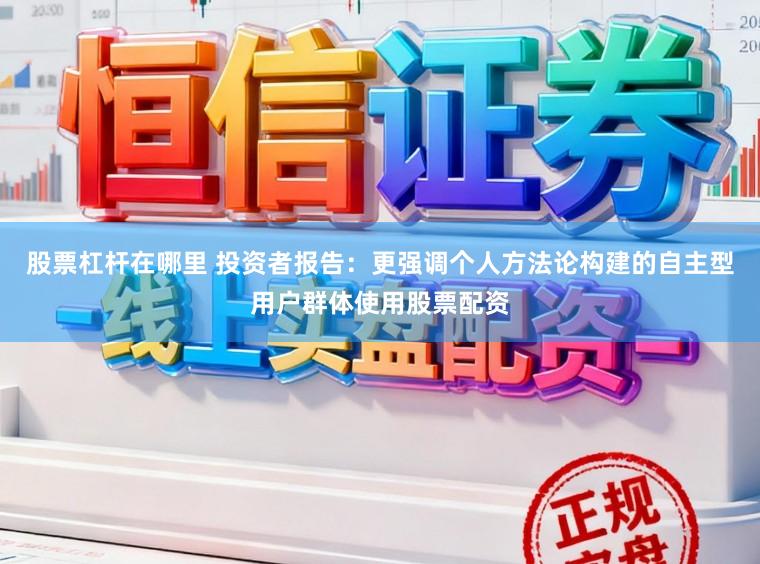股票杠杆在哪里 投资者报告：更强调个人方法论构建的自主型用户群体使用股票配资