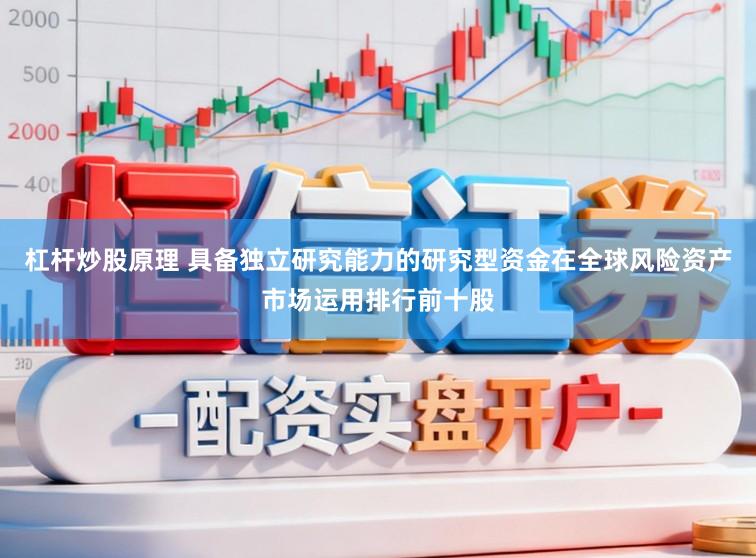 杠杆炒股原理 具备独立研究能力的研究型资金在全球风险资产市场运用排行前十股