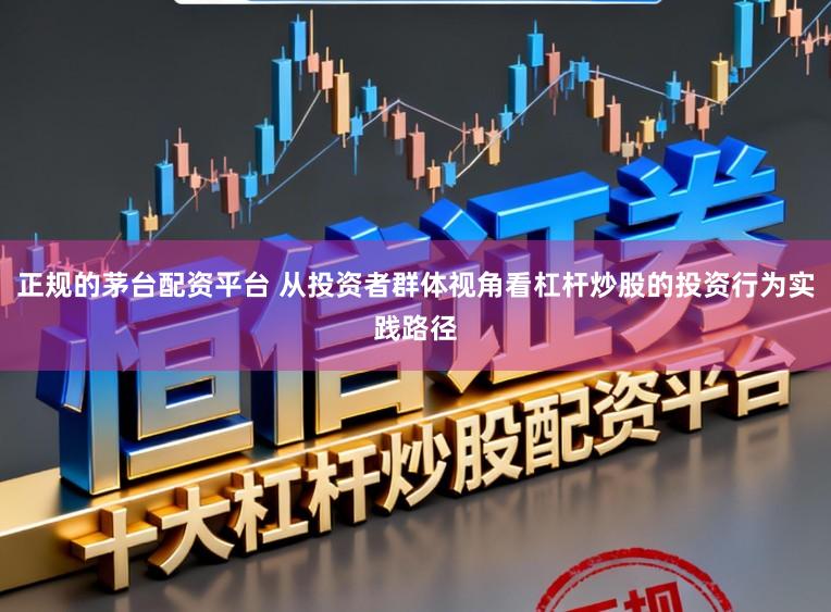 正规的茅台配资平台 从投资者群体视角看杠杆炒股的投资行为实践路径